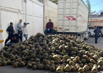 Vinculan a proceso a pareja detenida transportado cocos llenos de fentanilo