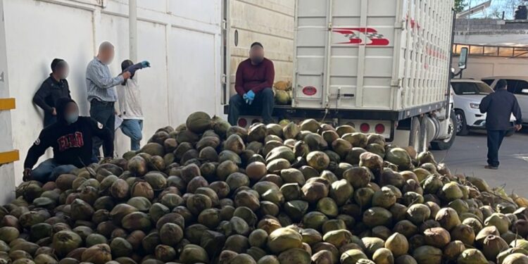 Vinculan a proceso a pareja detenida transportado cocos llenos de fentanilo